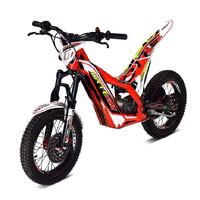 TRS ONE-E KIDS 16 inch Electric Trials