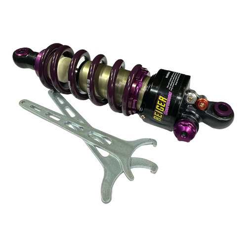 Reiger Beta EVO Factory B40 6 Way Damper