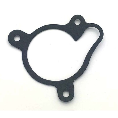 TRS Water Pump Gasket (16,17,18 and 19 ONE)