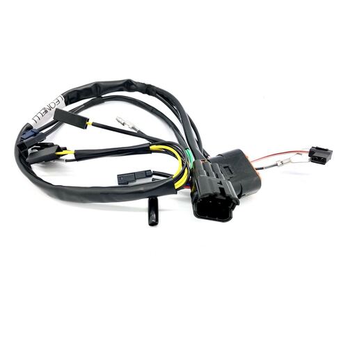 TRS Wiring Loom 17-20R