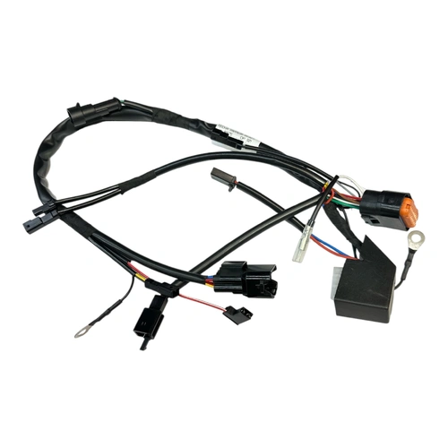 TRS Main Wiring Loom (bikes with Temp Sensor)