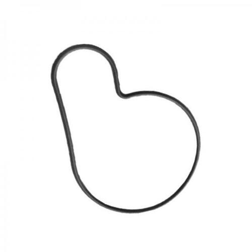 Beta Water Pump O Ring Seal