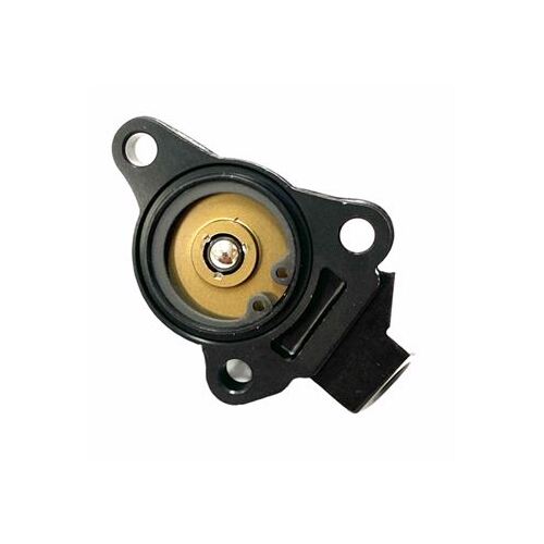 Beta EVO Clutch Slave with Piston