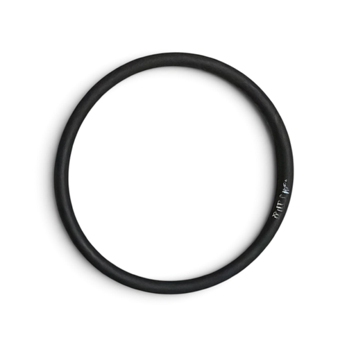 Exhaust O-Ring Scorpa