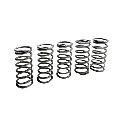 FANTIC Clutch Spring set (5)