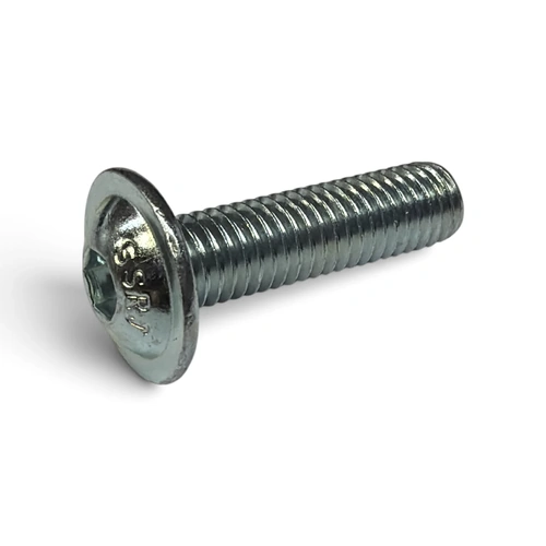 TRS Chain Tensioner Bolt M8x30