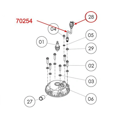 TRS Temperature Sensor 2021→ (also 20 GOLD)