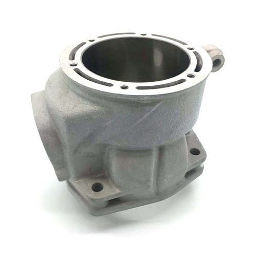 TRS ONE 300cc Cylinder