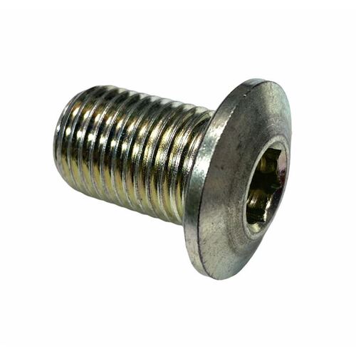 SWINGARM AXLE SCREW SHORT PRO
