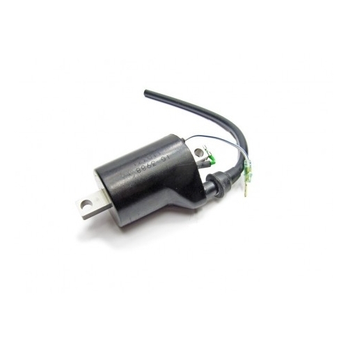 COIL KOKUSAN PRO (Superseded from M02812110) 2002-10