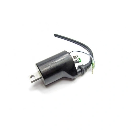 COIL KOKUSAN PRO (Superseded from M02812110) 2002-10