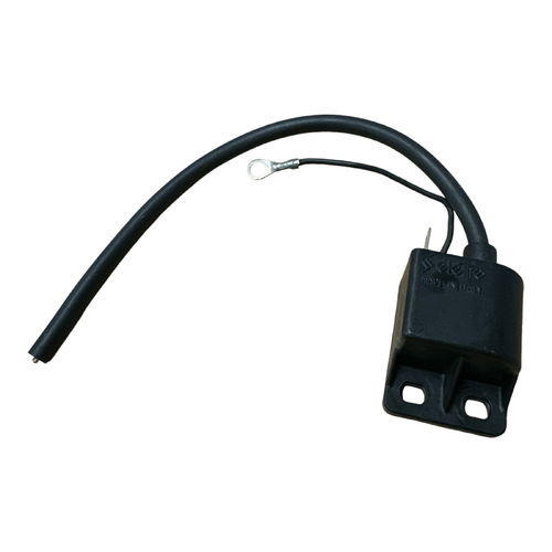 CDI GASGAS Boy 50 (2000-01)
