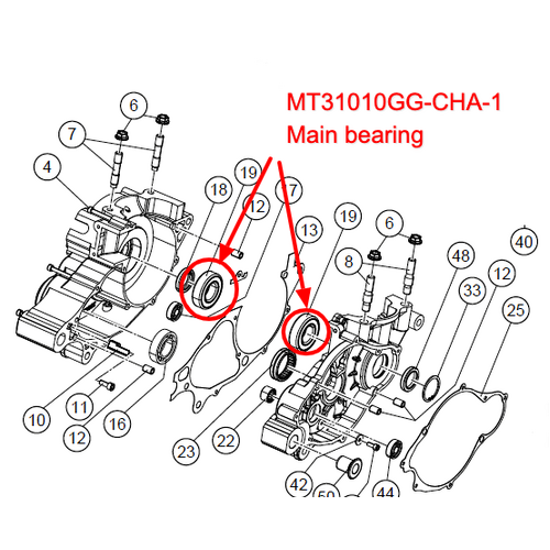 Crankshaft Main Bearing 19+