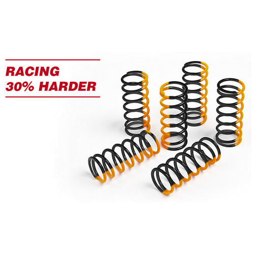 S3 HD Clutch Springs - Sherco & Beta