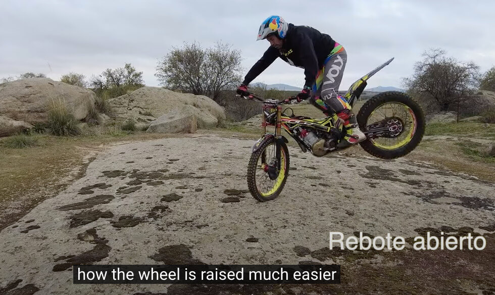 Setting Reiger Trial Shock Absorber