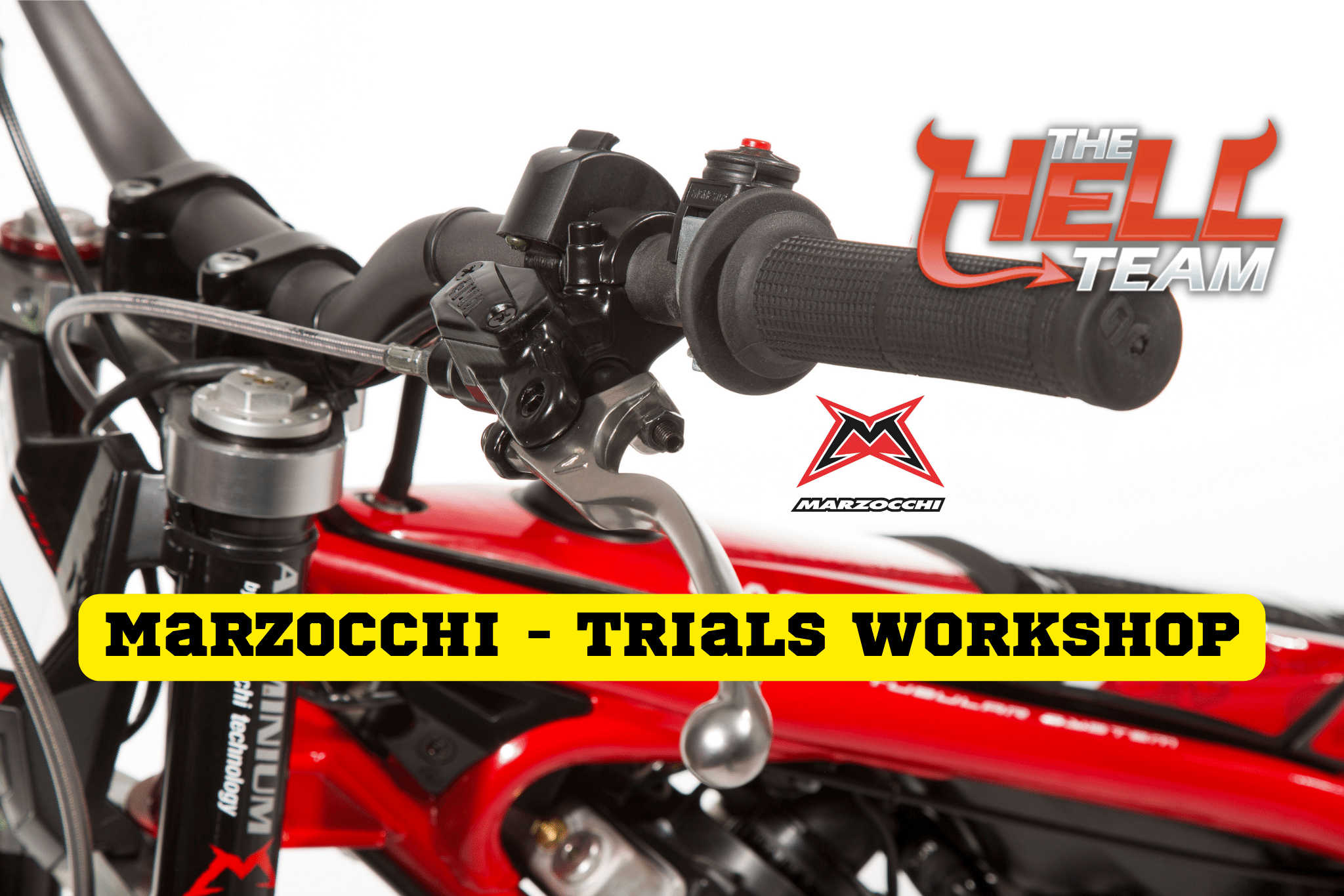 Marzocchi 40mm Aluminium Fork service