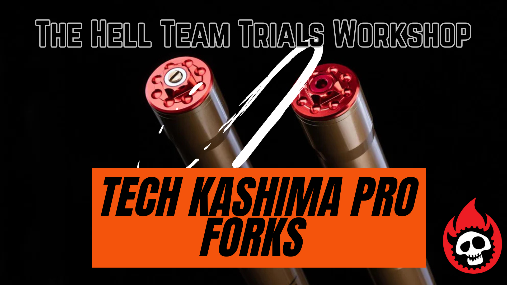 TECH Kashima Pro trials Forks