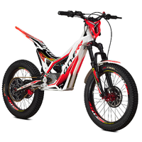 Kids Electric Trials
